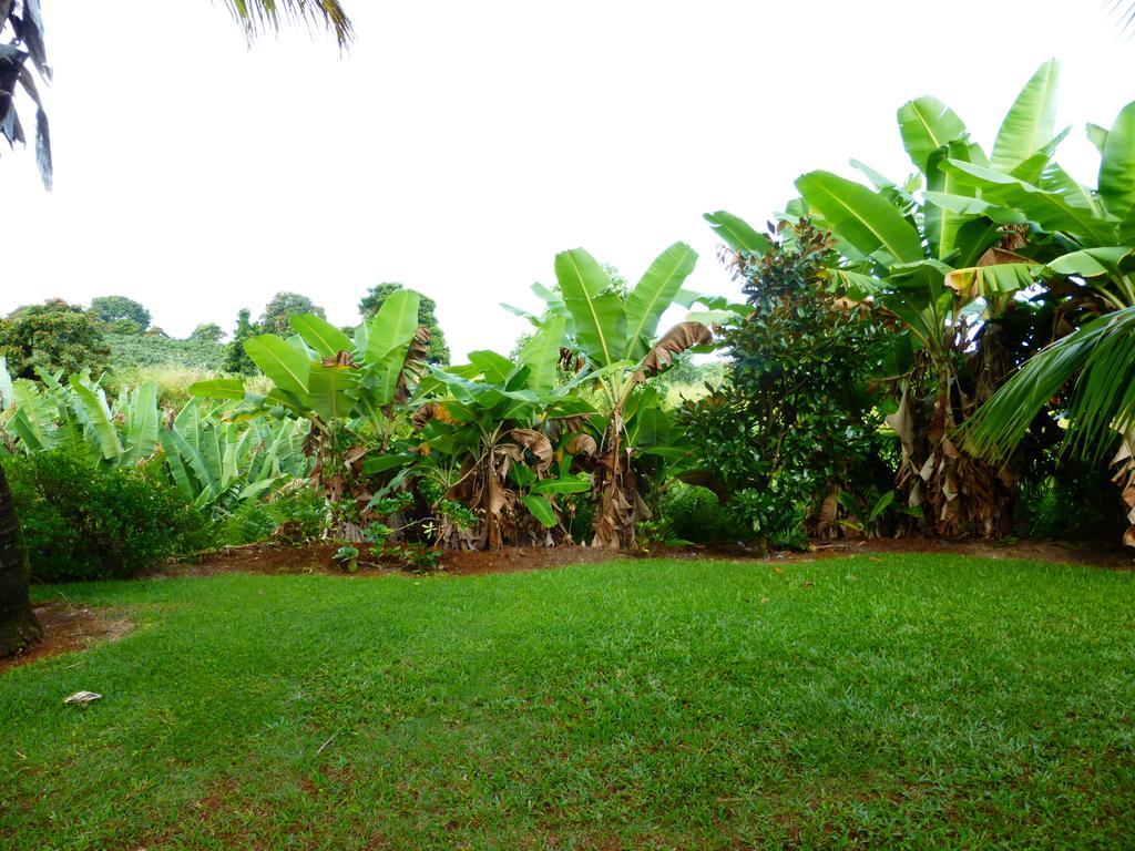 Island Goode'S - Luxury Adult Only Accommodation Near Hilo Papaikou Exterior photo