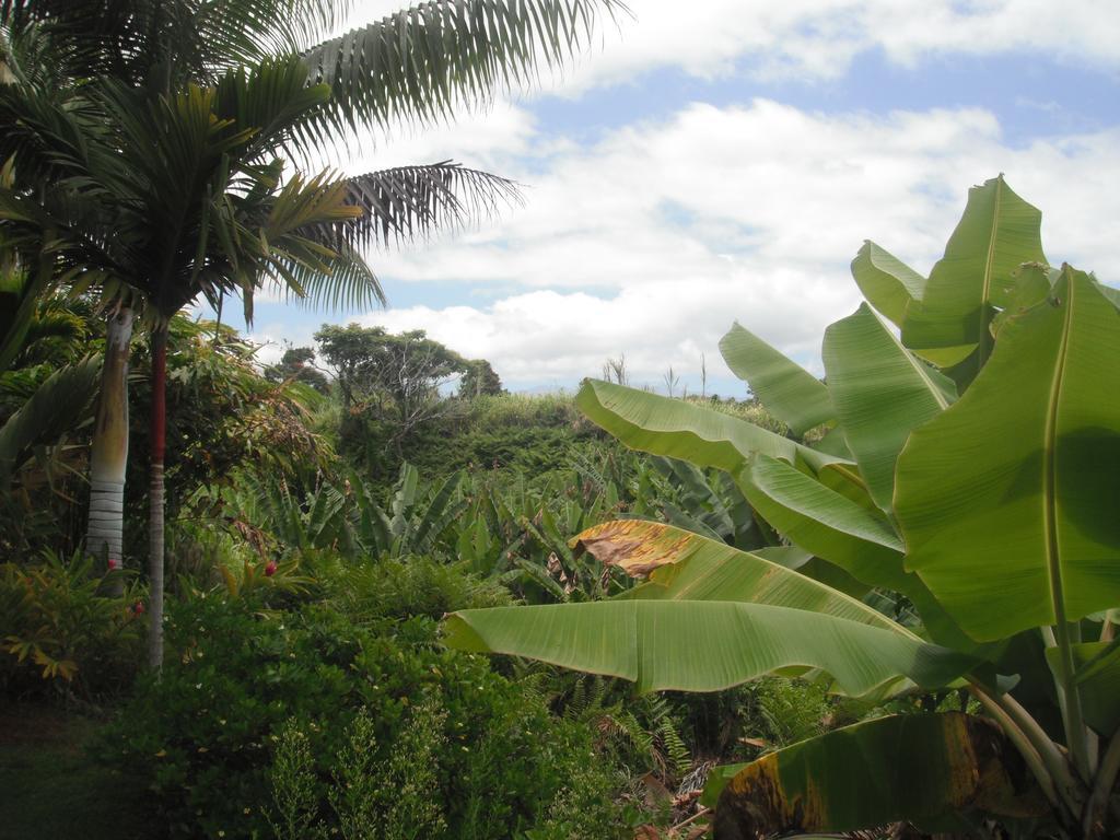 Island Goode'S - Luxury Adult Only Accommodation Near Hilo Papaikou Exterior photo