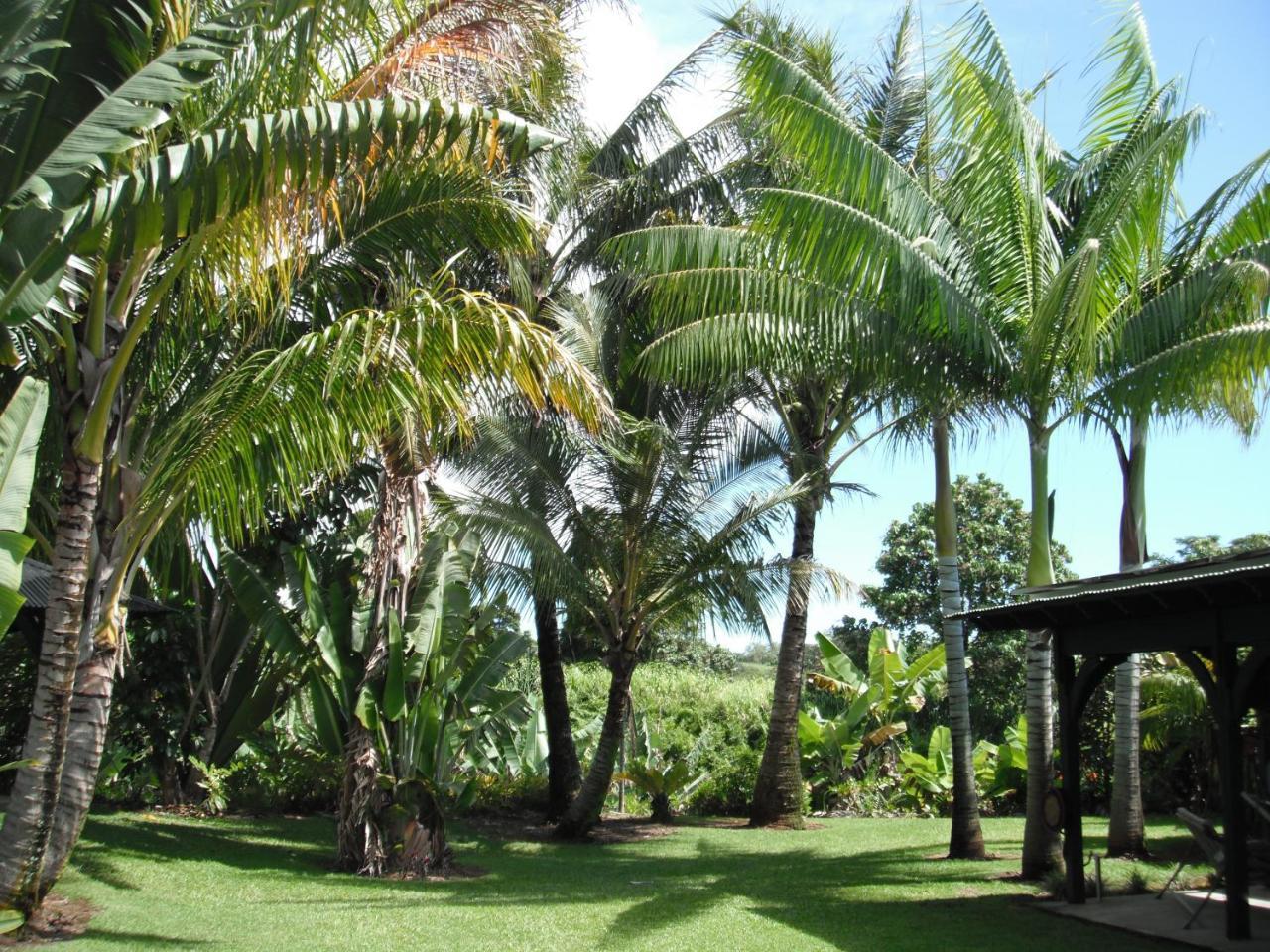 Island Goode'S - Luxury Adult Only Accommodation Near Hilo Papaikou Exterior photo